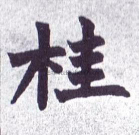 【桂】字墨迹书法写法